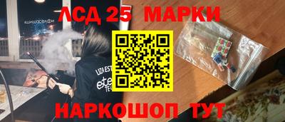 винт Можга
