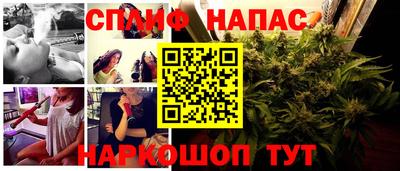 бошки Моздок