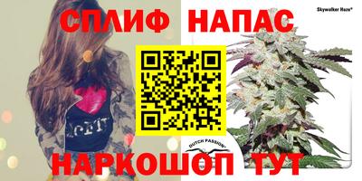 бошки Моздок