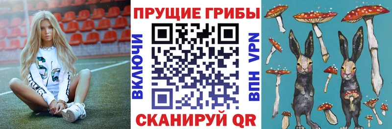Галлюциногенные грибы Cubensis  дарк нет официальный сайт  Заволжье  купить закладку 