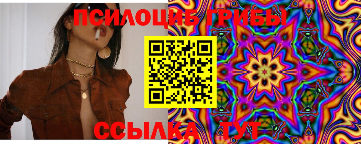 Заволжье  Галлюциногенные грибы Cubensis  Вход с VPN 